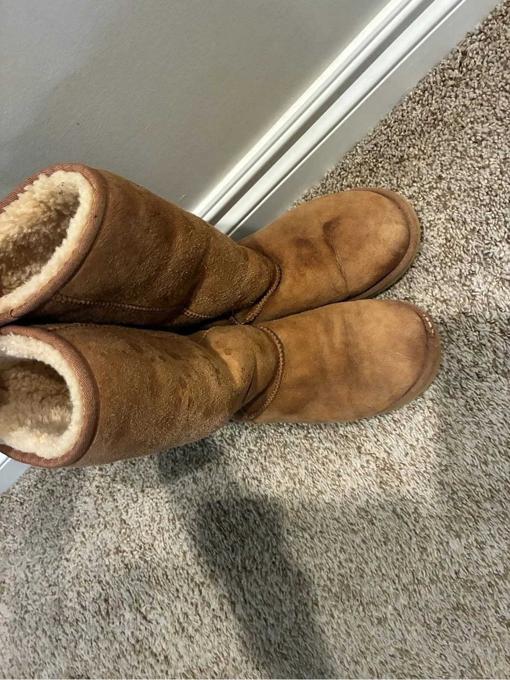 UGG Classic Tall Suede Shearling Boots - Chestnut